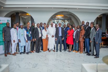 ECOWAS CDP Energy Information System Workshop to Strengthen Regional Energy Data Integration.
